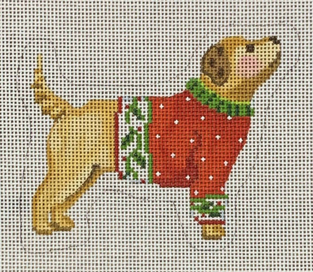 Yellow Dog in Red Sweater