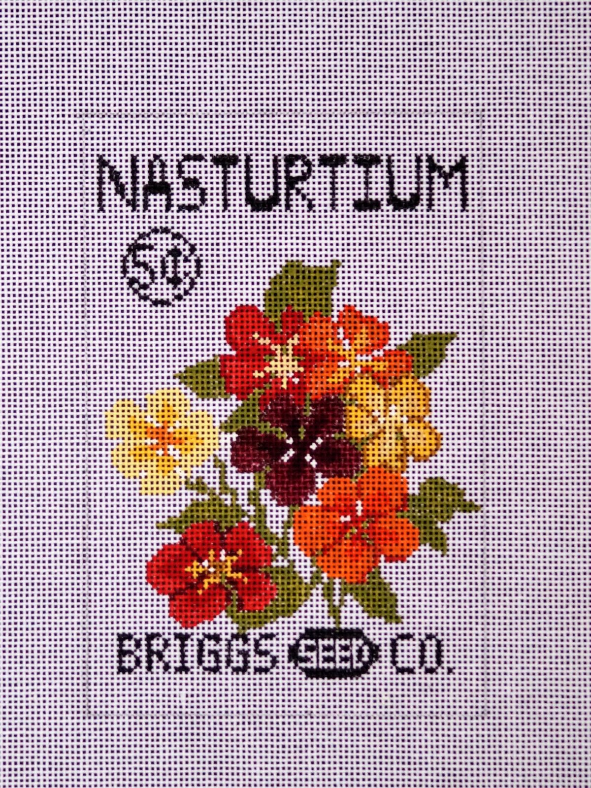 Seed Packet - Nasturtium  13 ct