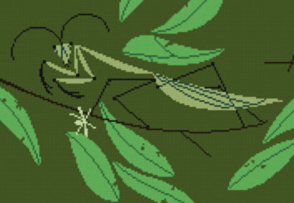 Praying Mantis
