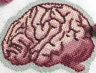 Brain