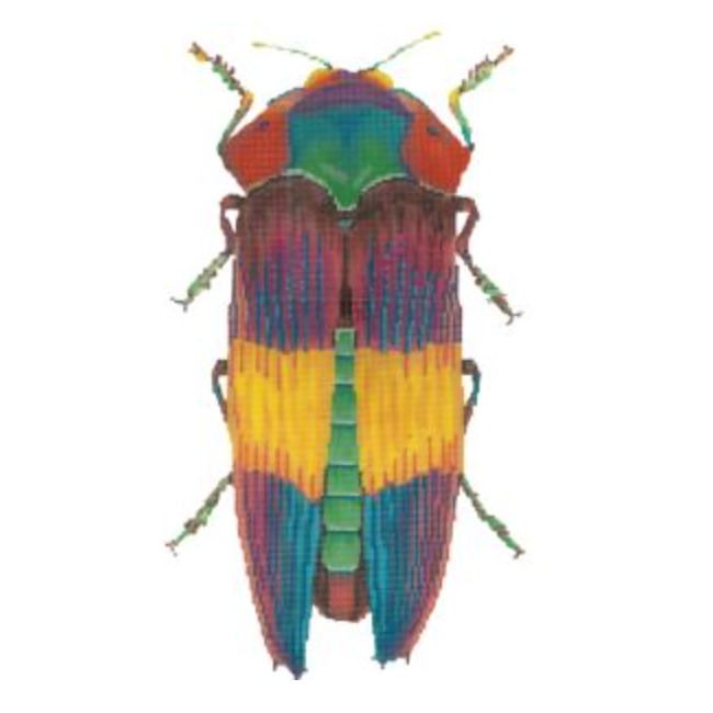 Little Bug - Rainbow