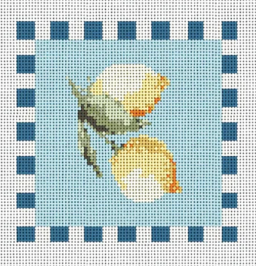 Watercolor Square - Radiant