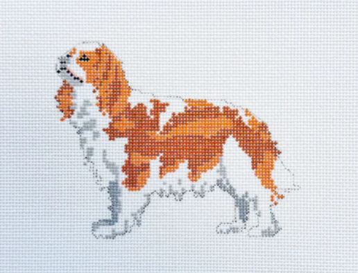 King Charles Spaniel