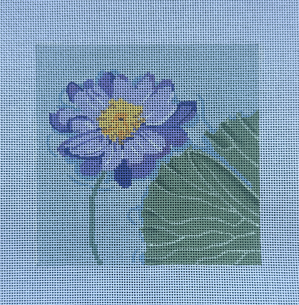 Kew Gardens Water Lily