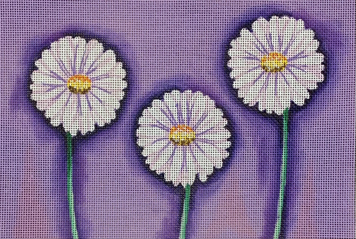 Daisies