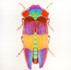 Big Bug - Rainbow