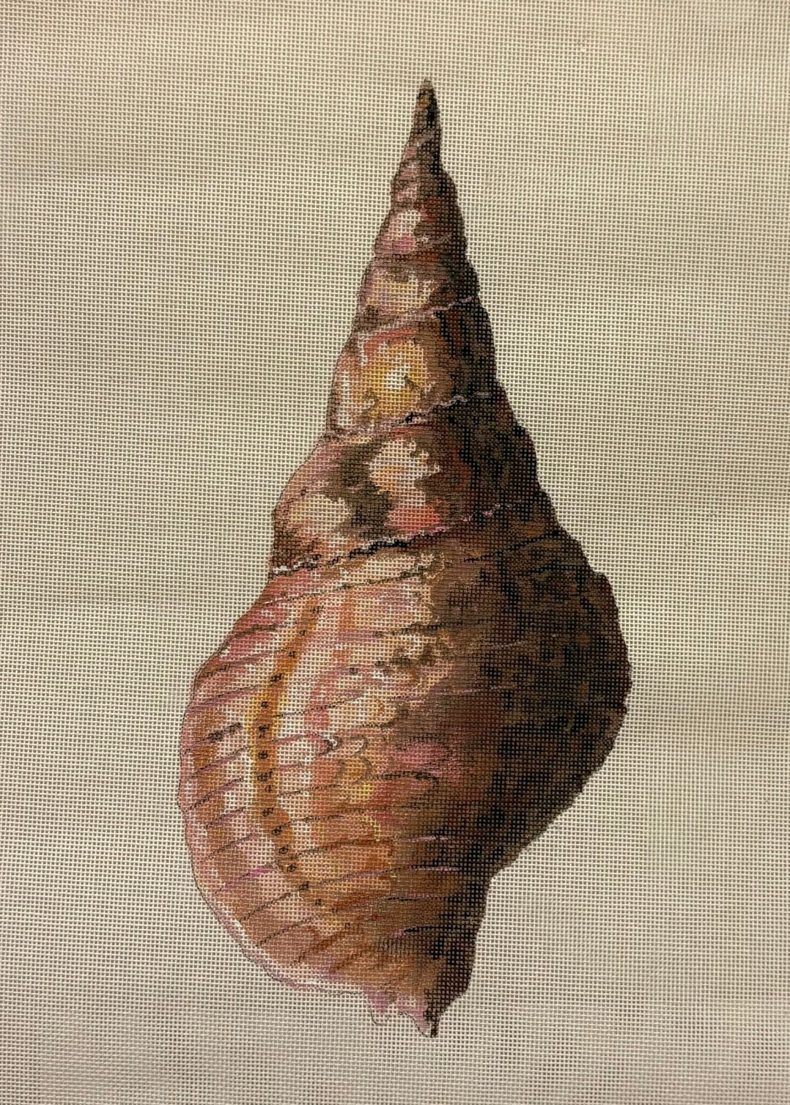 Conch Seashell Back