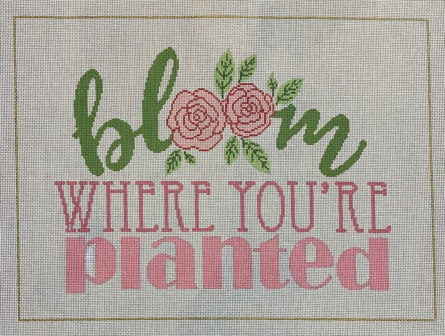 Bloom