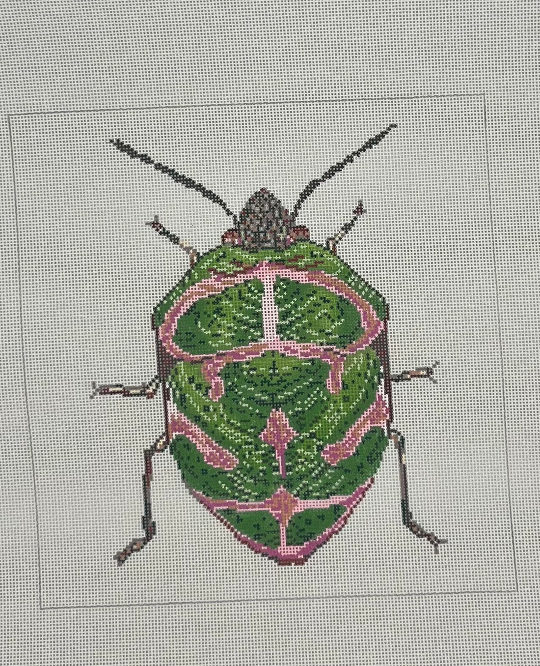 Little Bugs Green and Pink