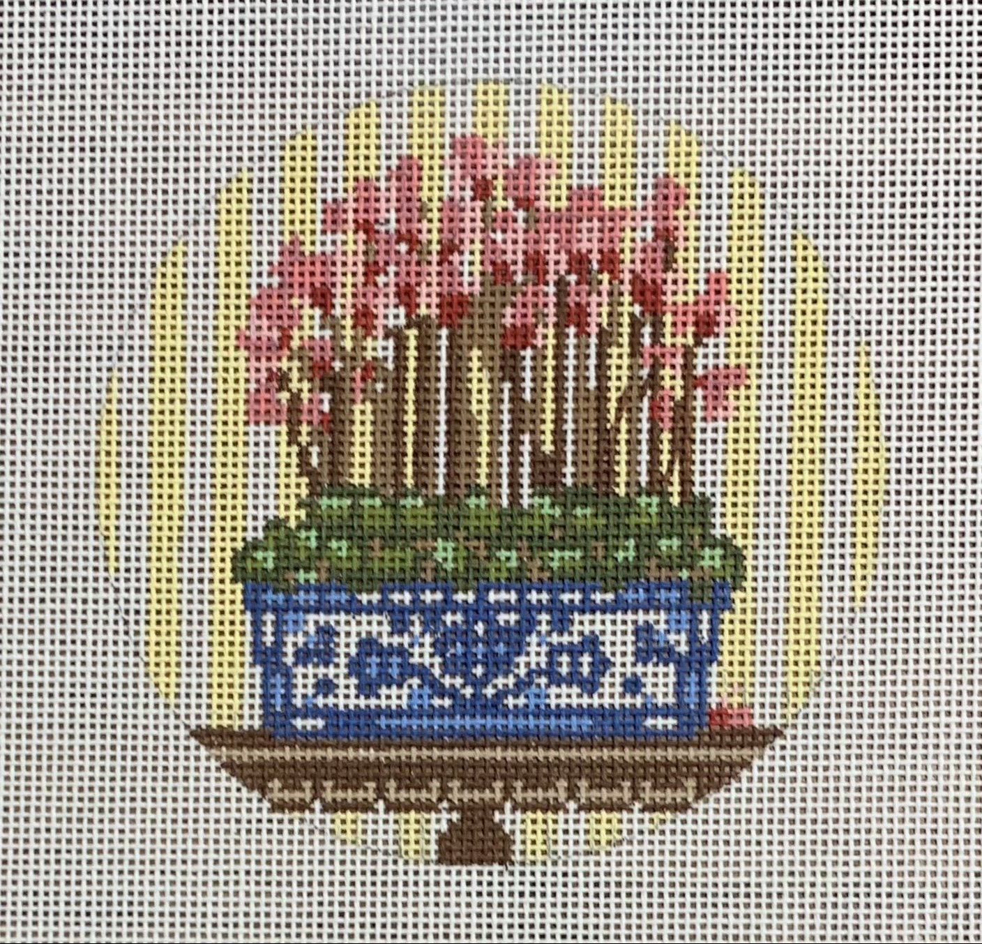 Cyclamen