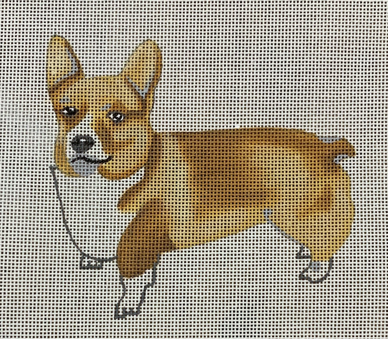 Corgi