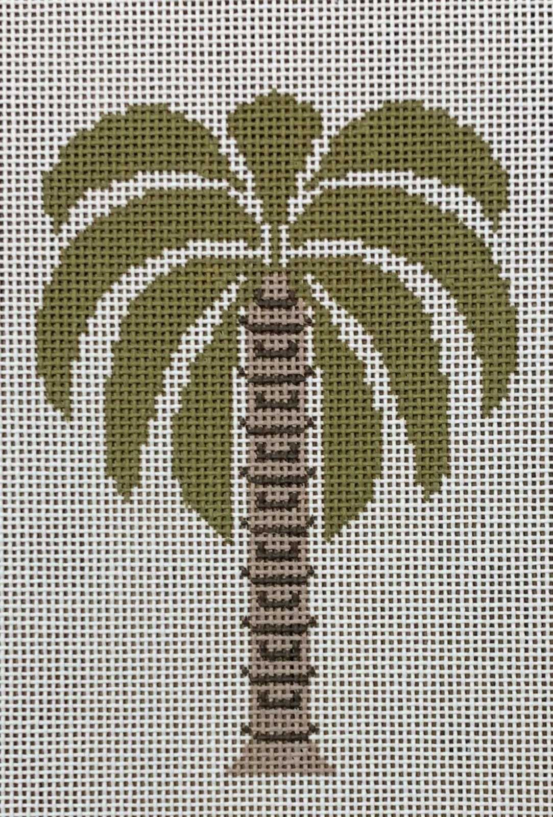 Palm Tree