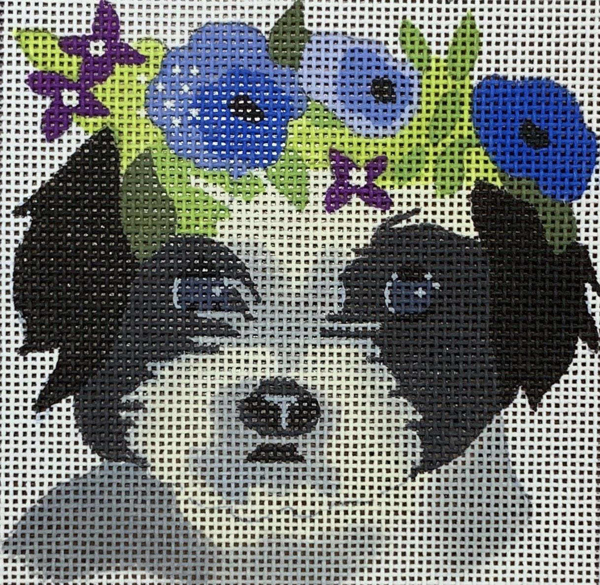 Havanese 4"