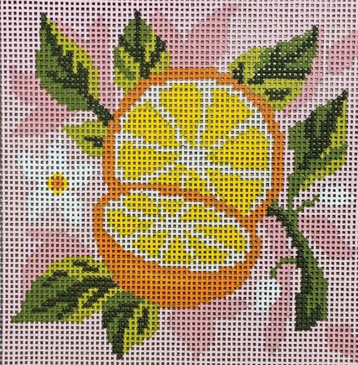 Fruit Square - Orange