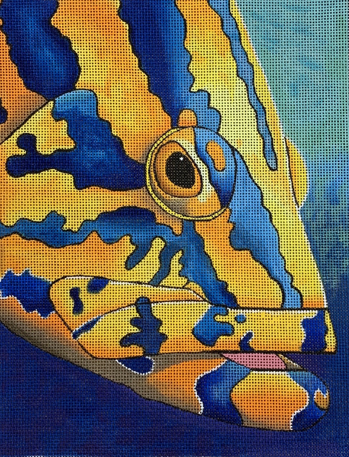 Nassau Grouper