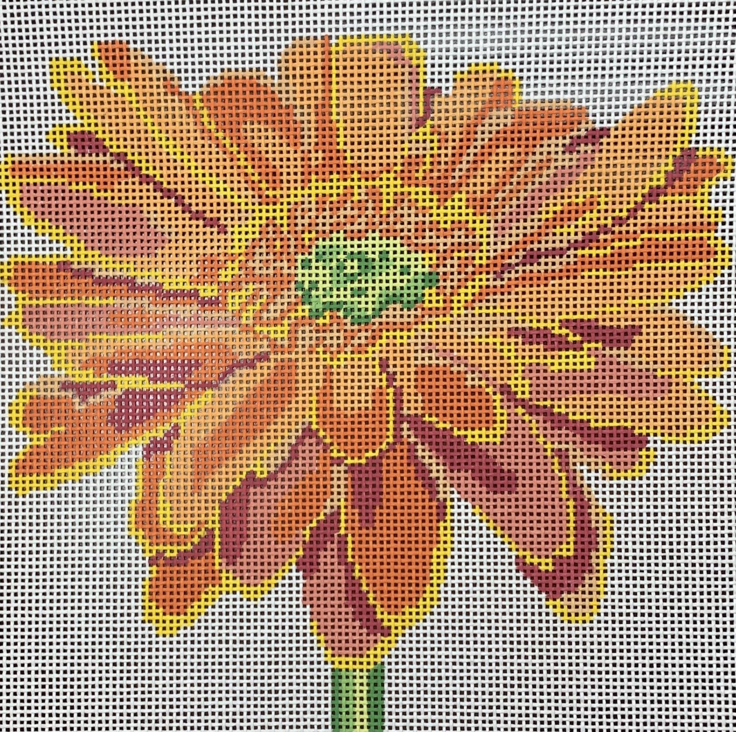 Orange Daisy