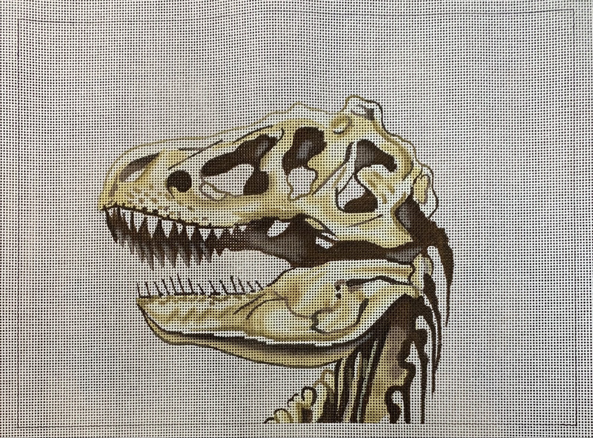 Dinosaur Skull