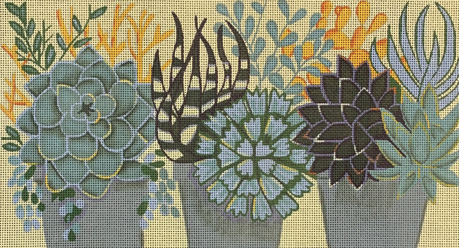 Succulents