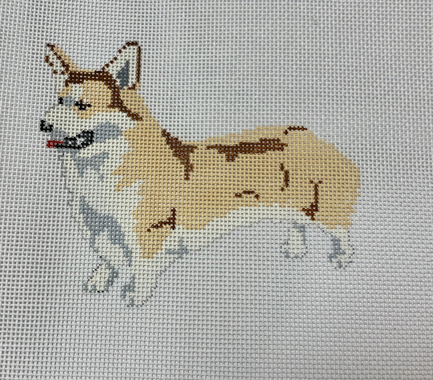 Pembroke Welsh Corgi