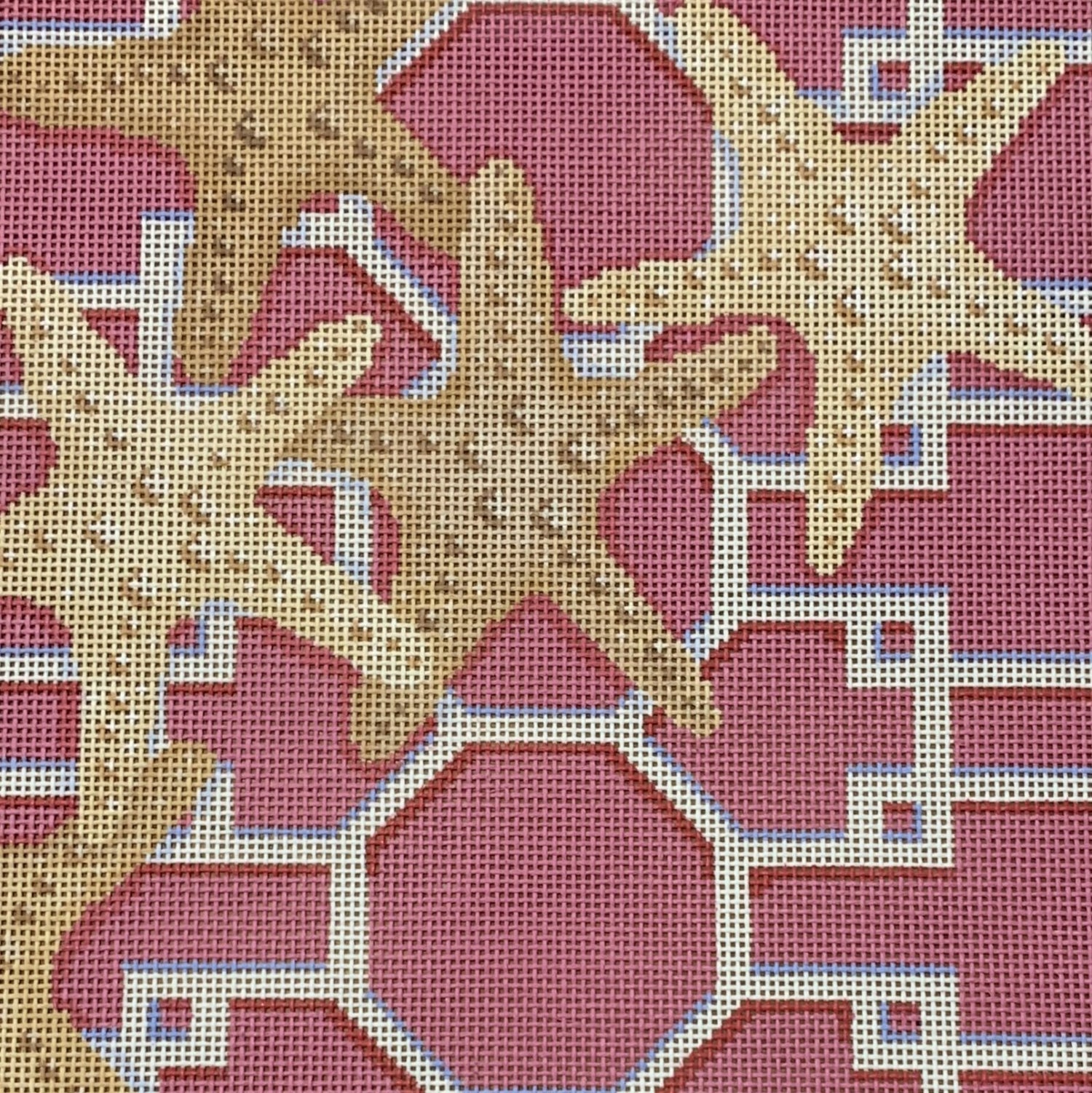 Starfish Scattered on Pink