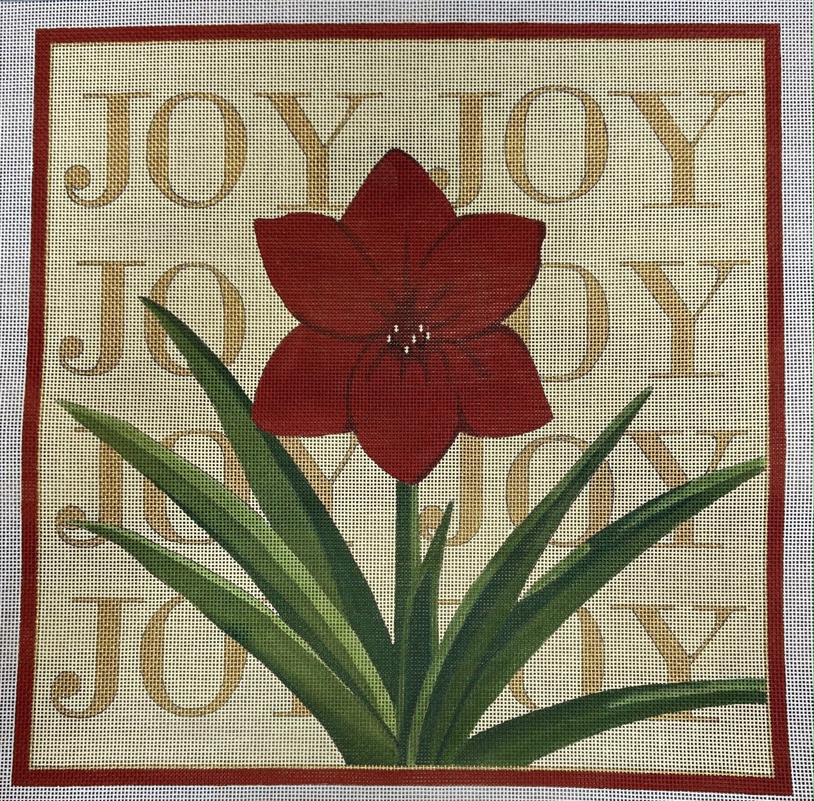 Amaryllis Joy