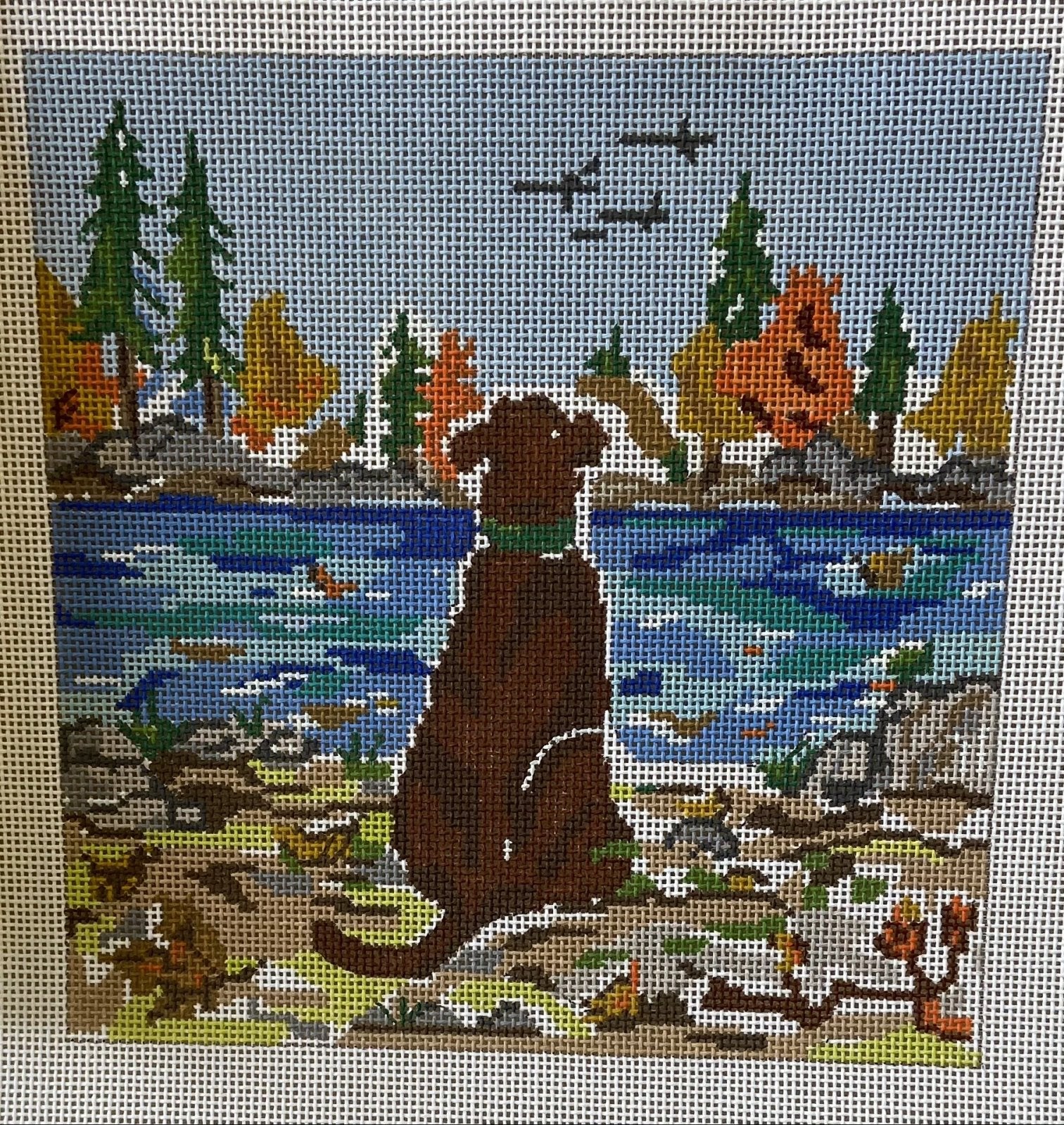 Fall Observer