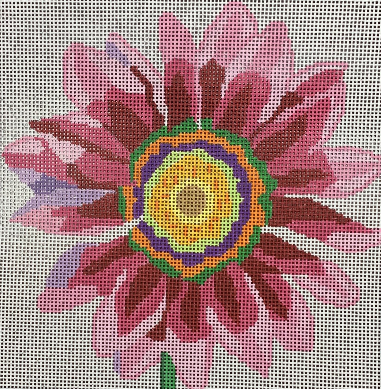 Dazzle Daisy