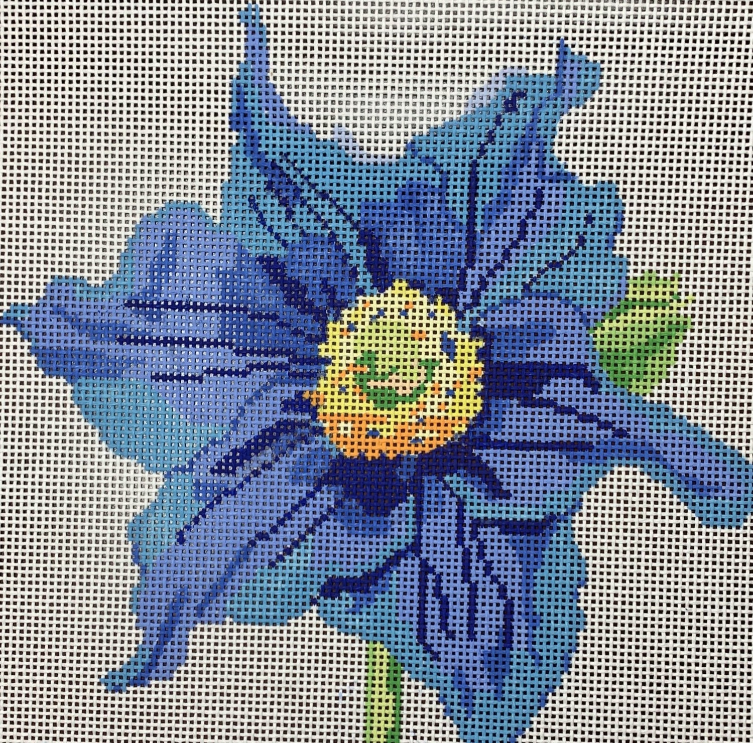 Blue Poppy