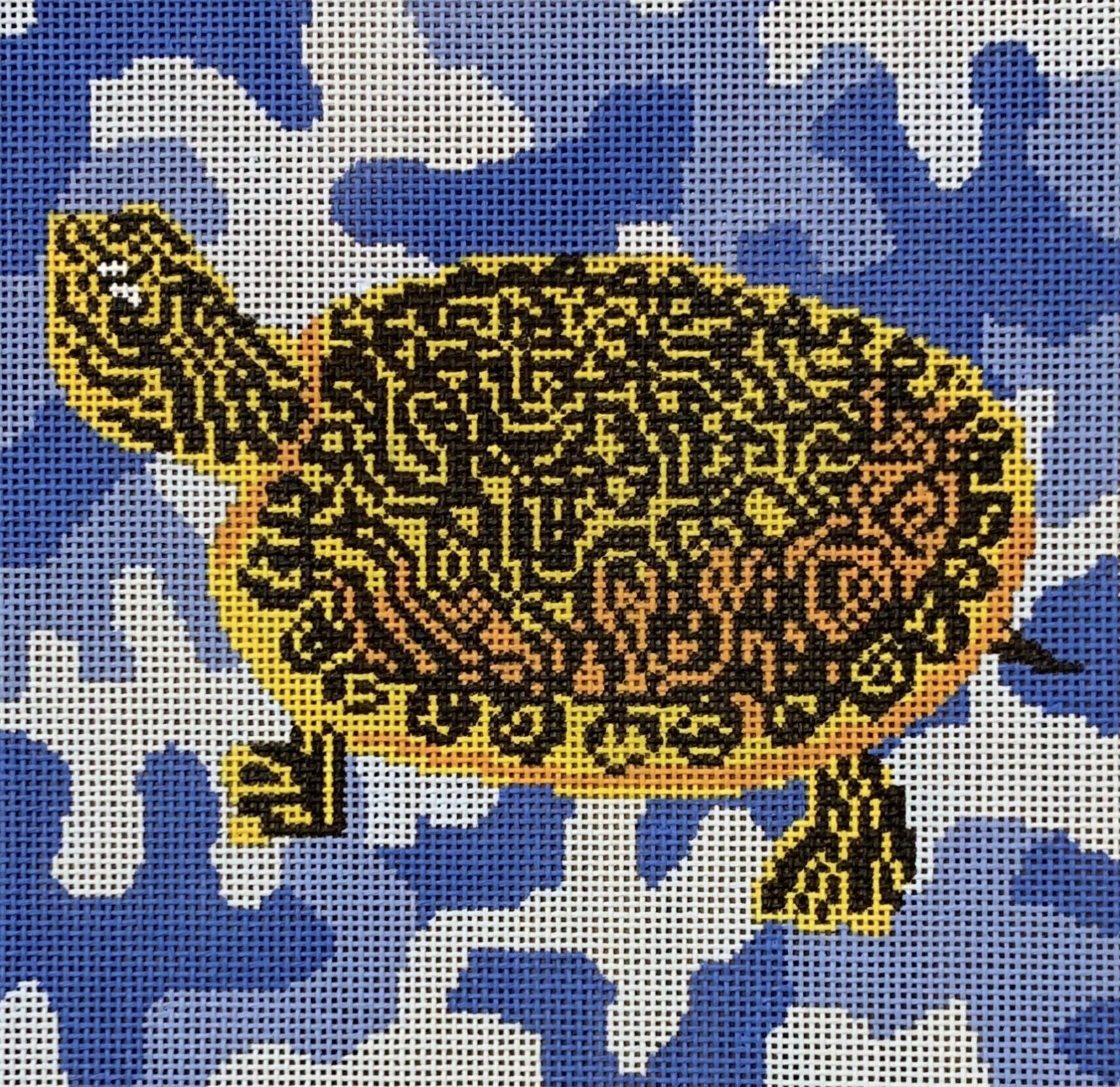 Pond Turtle