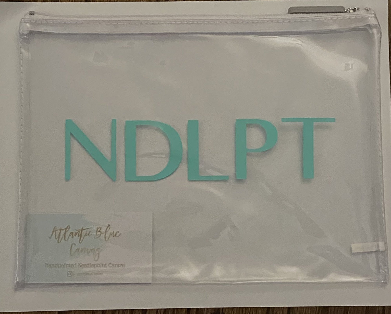 Vinyl Project Bag (clear) - NDLPT 10x8