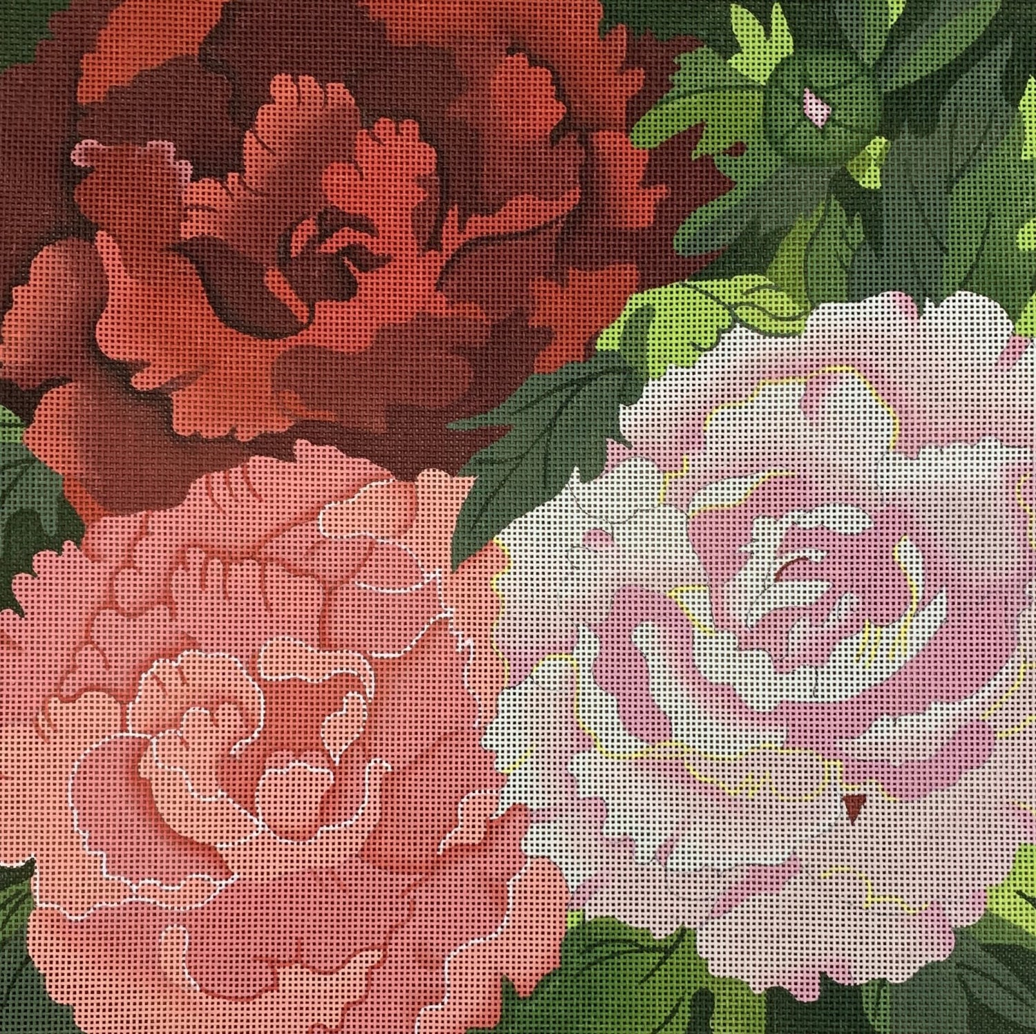 Giant Peonies