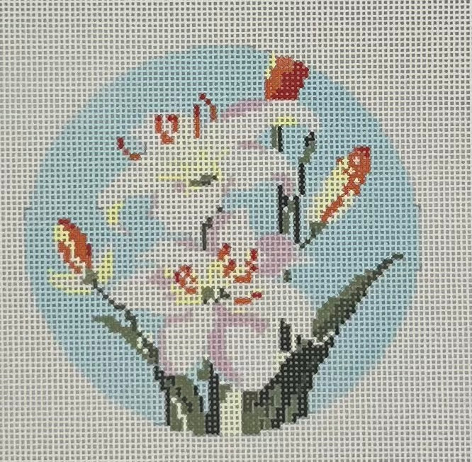 Flowers of the Bible: Lily of the Field