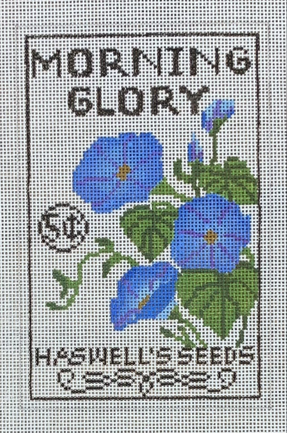 Seed Packet Morning Glory