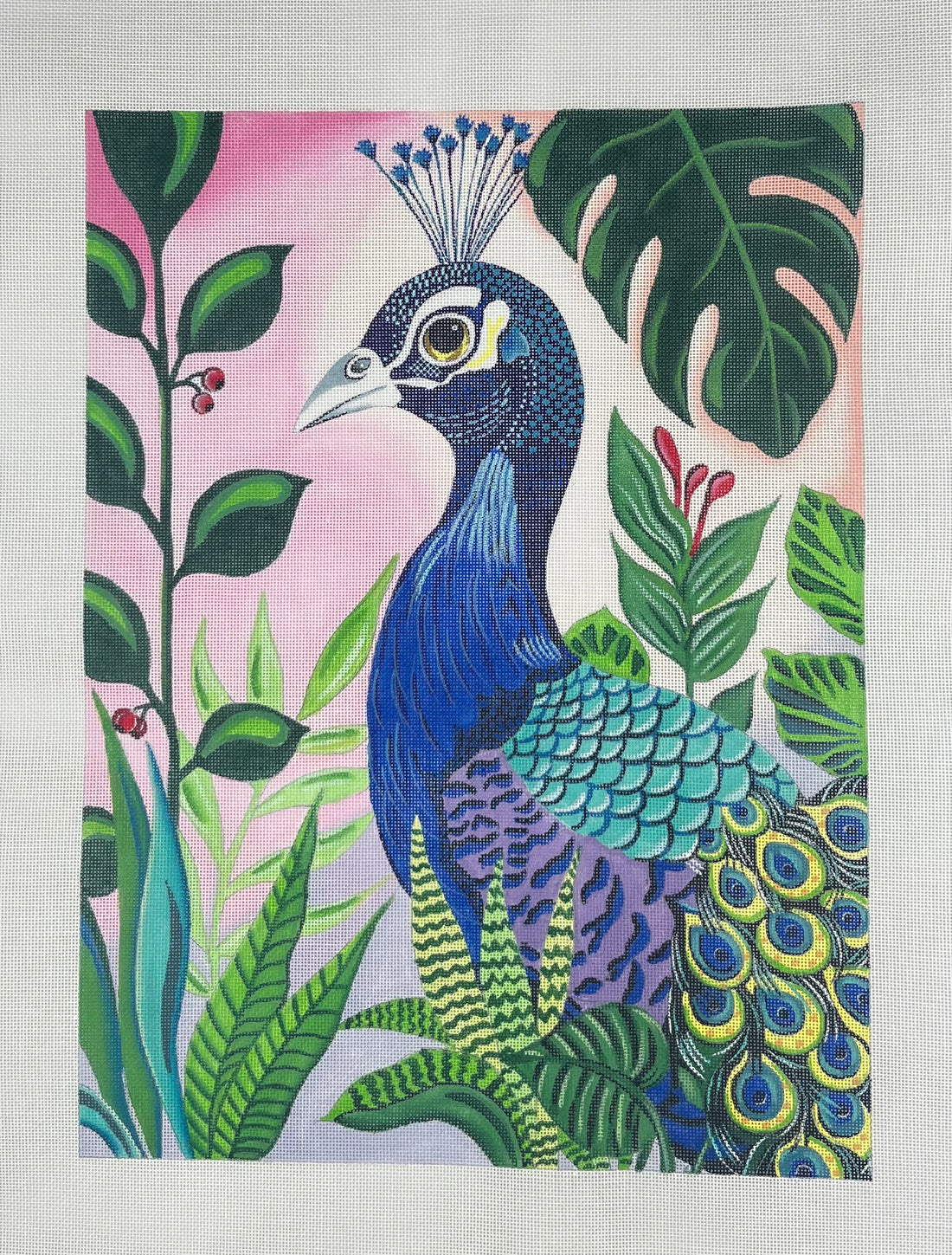 Peacock