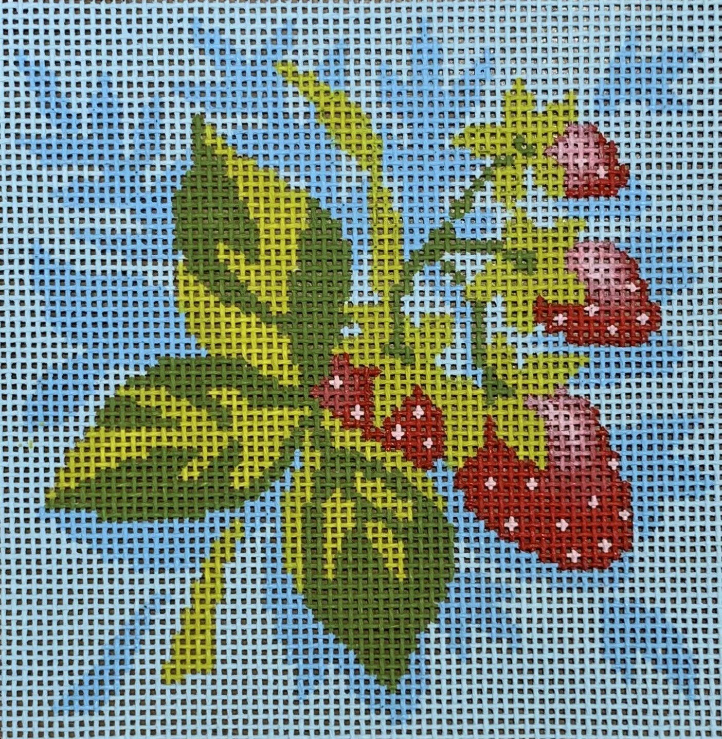 Fruit Square - Strawberries