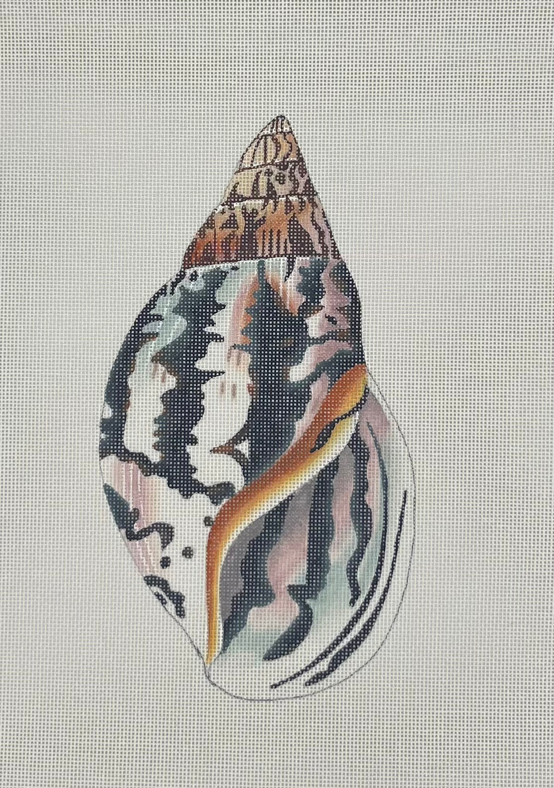 Seashell Front