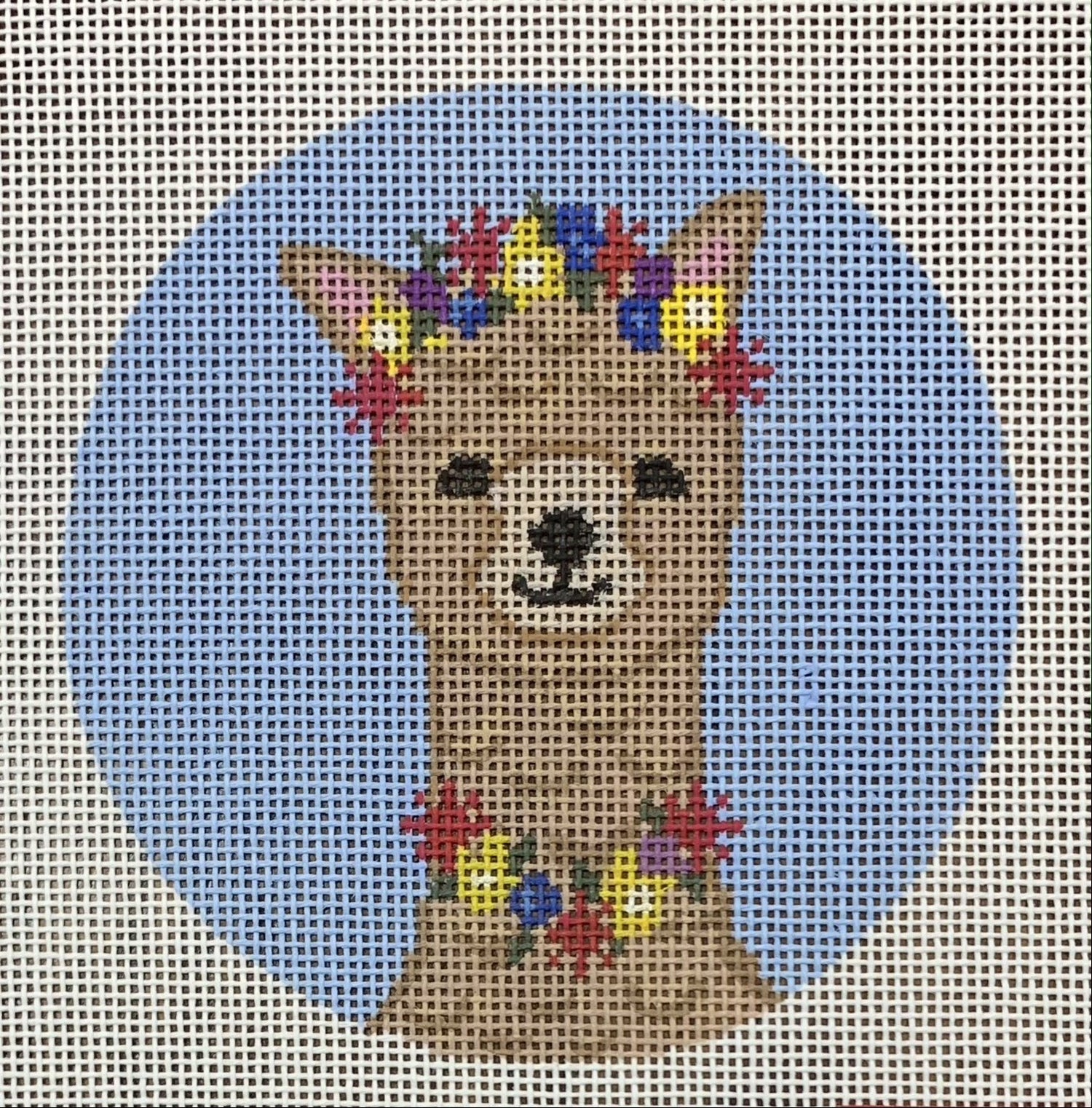 Alana the Alpaca